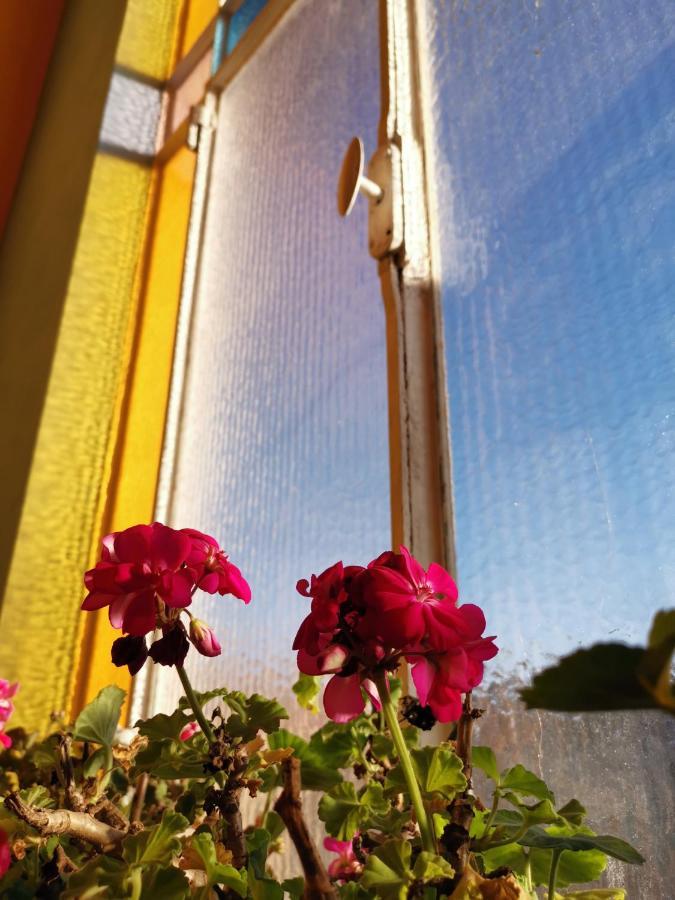 B&B Ad Quintum Torino Коленьо Екстериор снимка